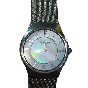 Skagen Stainless Steel Mesh Watch (Unisex)